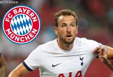 哈里·凯恩（Harry Kane） 告别热刺：英格兰超级联赛巨星转会拜仁，创造转会纪录！