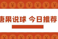 唐果说球 法国甲级联赛联赛，里尔对阵兰斯队