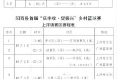 庆丰收、促振兴！阳西县首届乡村篮球赛国庆开赛