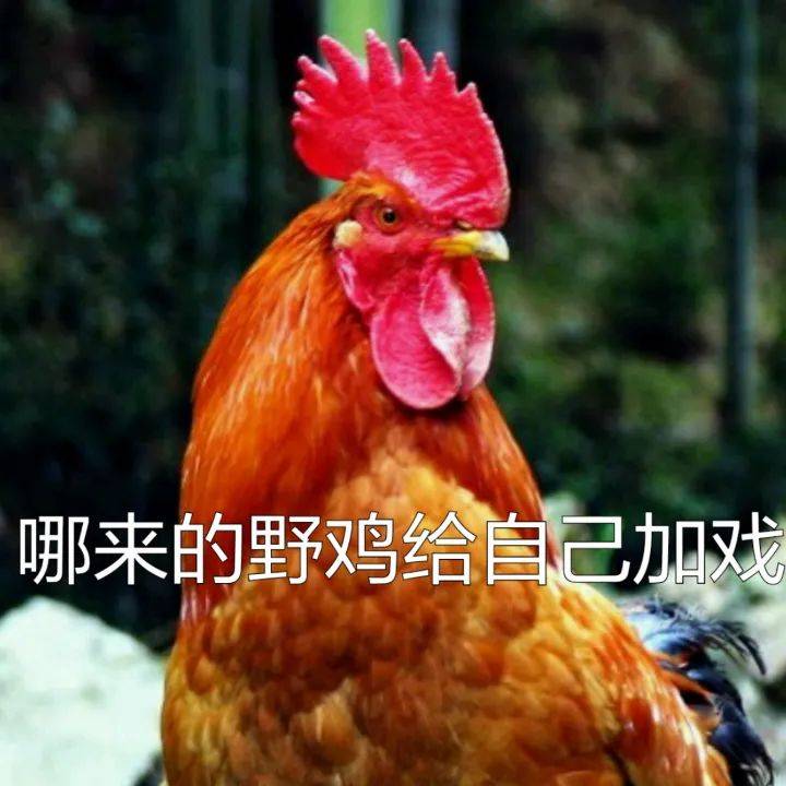 巴黎圣日耳曼对阵蒙彼利埃：姆叔很生气，后果很严重