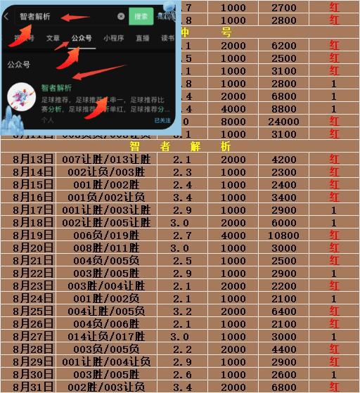 德国足球杯 弗赖堡对阵帕德博恩赛事前瞻分析