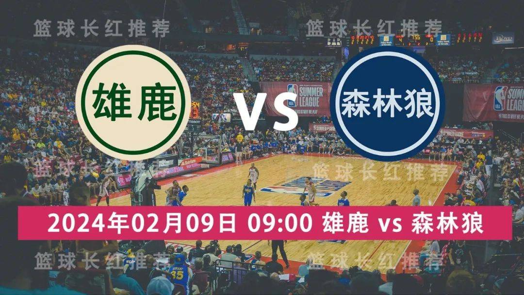 NBA 02月09日 雄鹿 对阵 森林狼